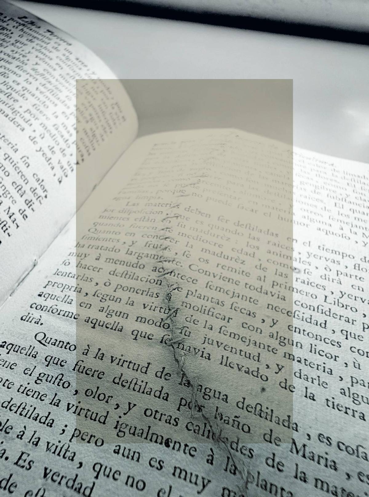 Imagen de la página suturada.