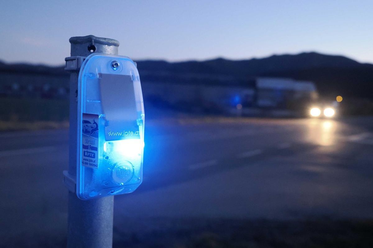 Una balisa dissuasiva de fauna s’activa quan detecta els fars d’un vehicle en un tram de carretera