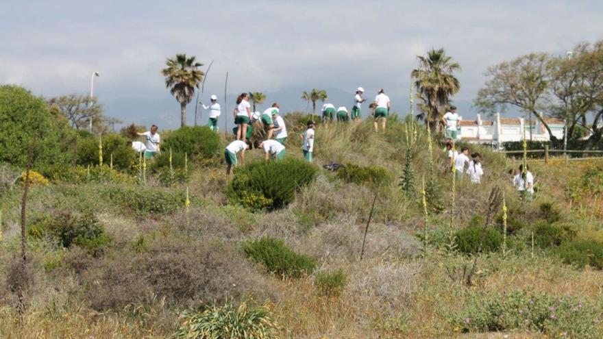 Voluntarios de ProDunas durante la reforestación de un espacio dunar. | L. O.