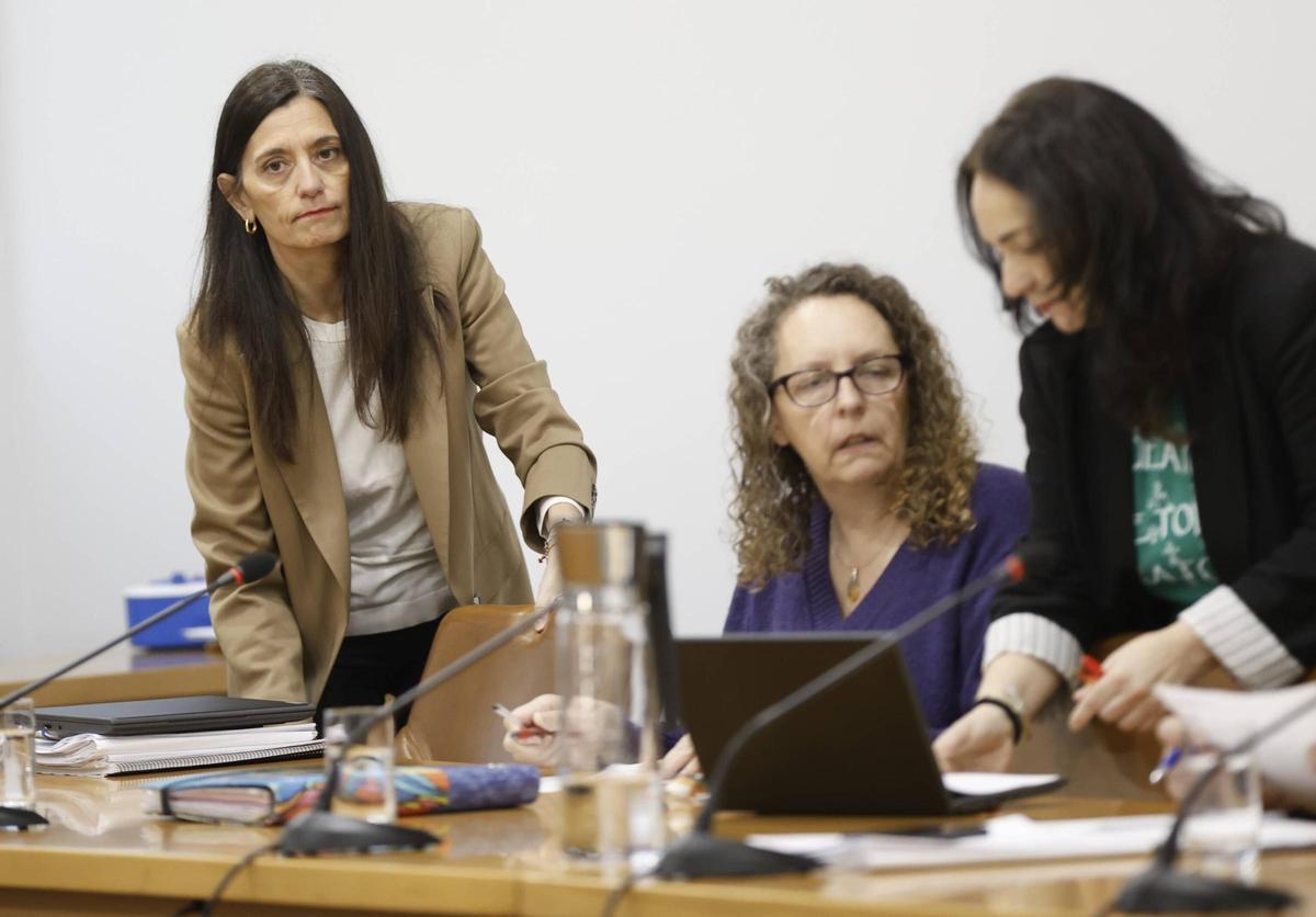 Concejales de Izquierda Unida, en un pleno