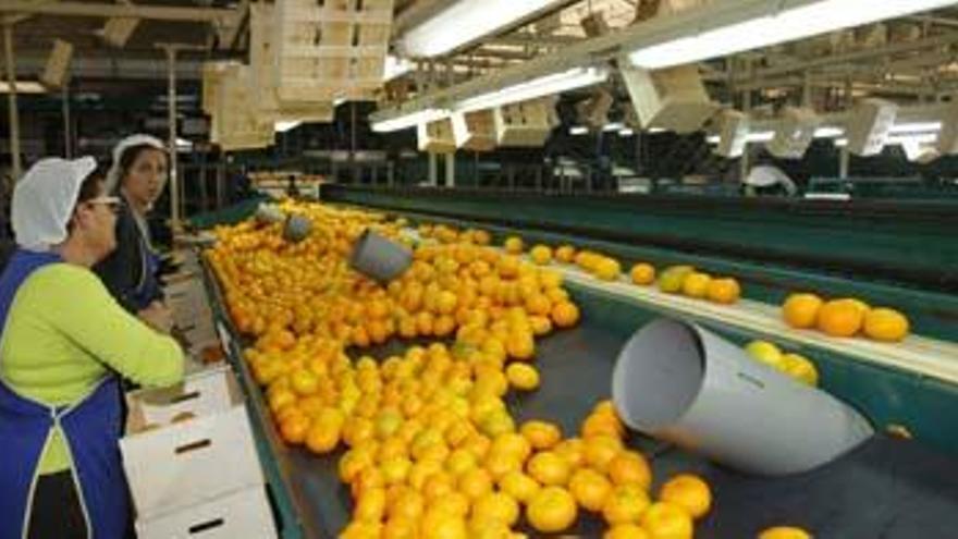 La ley estatal fuerza la concentración y condena a cooperativas y cajas rurales