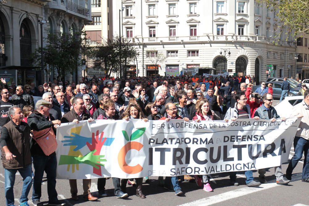 Manifestación en defensa del sector citrícola