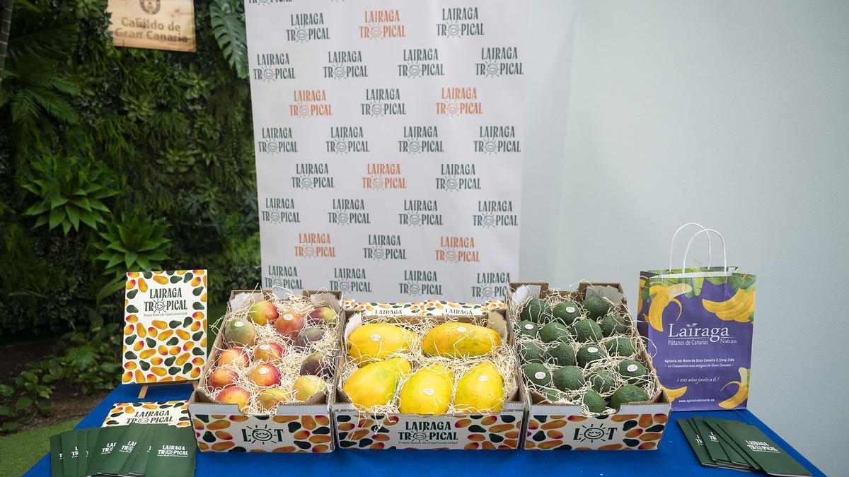 Presentación del Proyecto Lairaga en el Cabildo de Gran Canaria