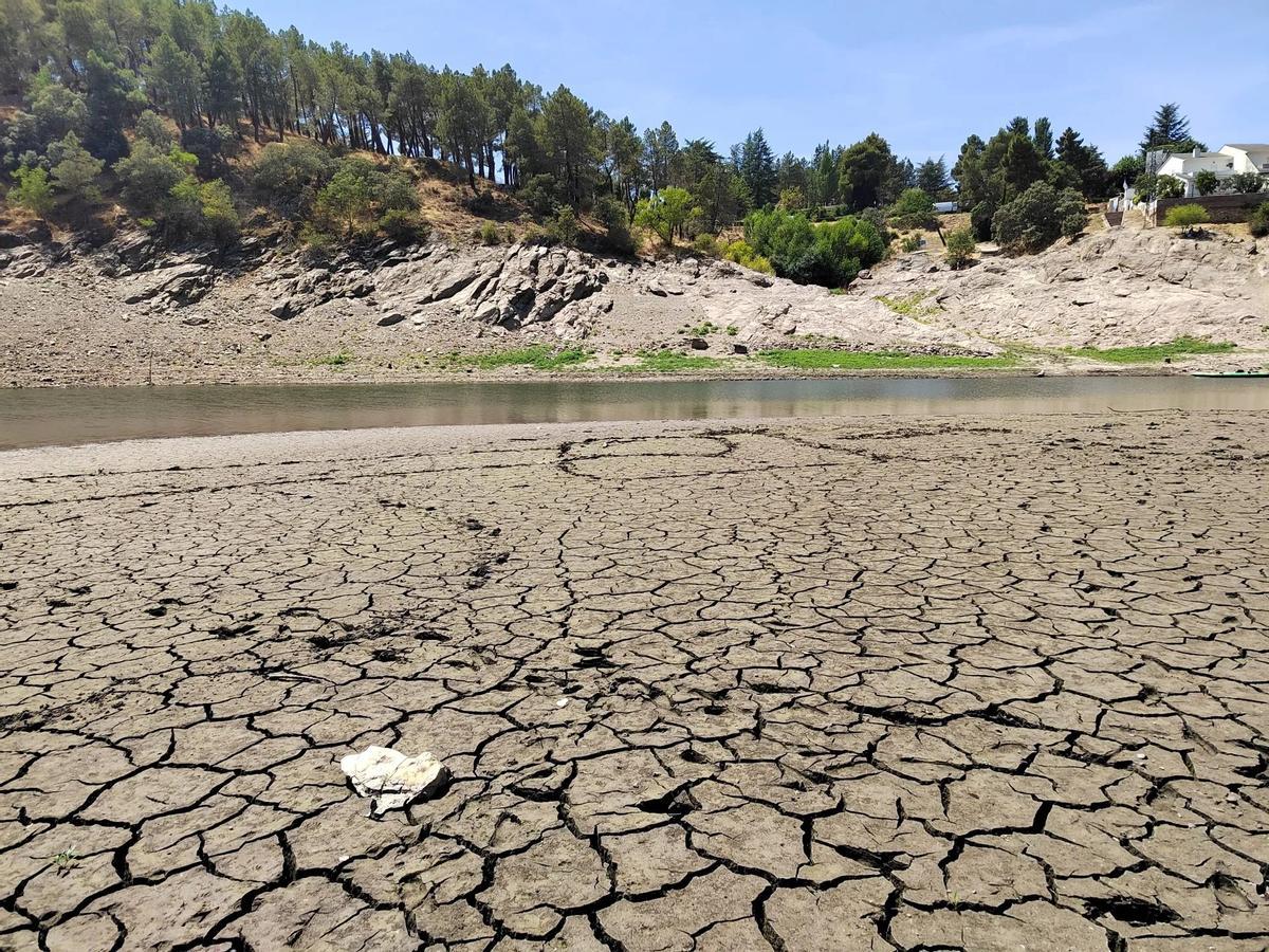 Terreno seco en las inmediaciones del río Lozoya, en la Comunidad de Madrid.