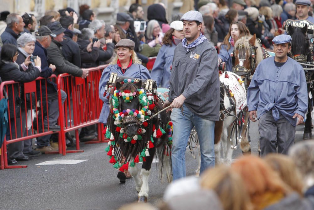 Sant Antoni en Valencia 2017