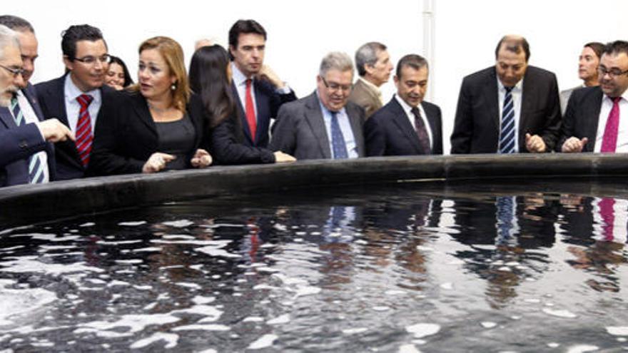 El rector José Regidor (1i), el ministro José Manuel Soria (6i) y los presidentes Bravo de Laguna y Paulino Rivero, en el centro, ayer en Taliarte. i EFE