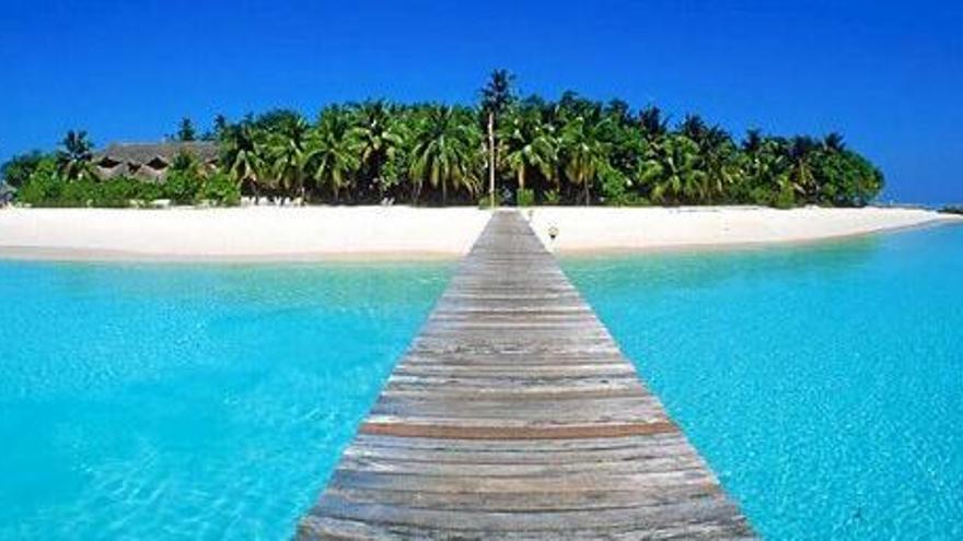 Traumlandschaft: Blick auf eine Malediven-Insel.