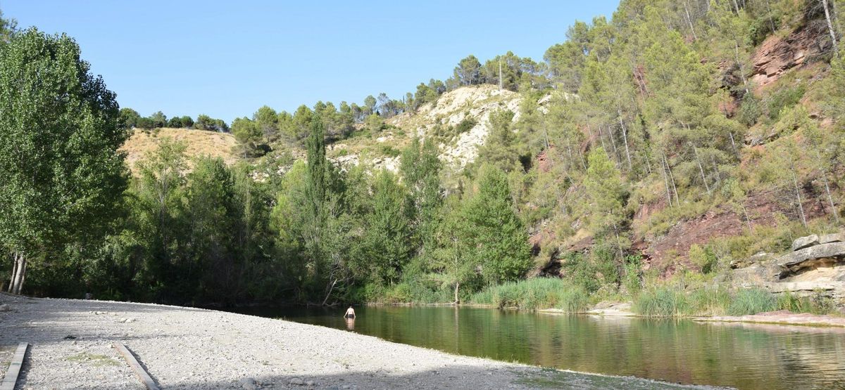 Imagen de la playa fluvial en el paraje de El Molino, habilitada este año para el baño de mascotas, la primera con este uso específico de la comarca.