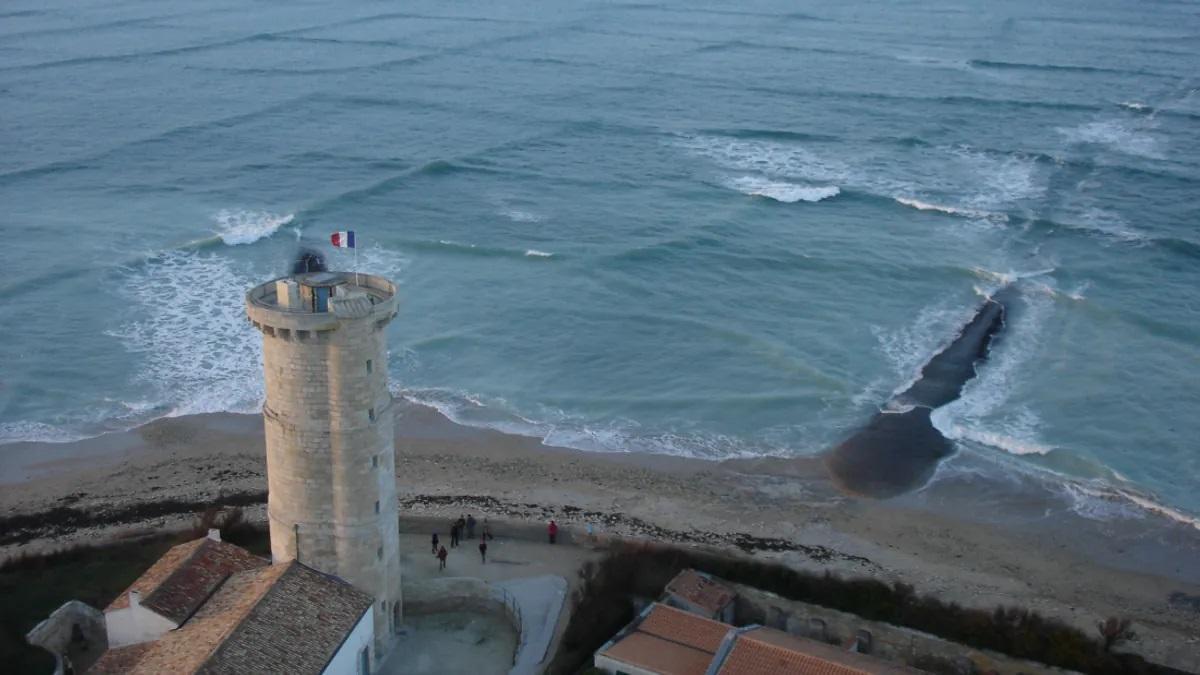 La isla de Re, en Francia, un lugar ideal para observarlas