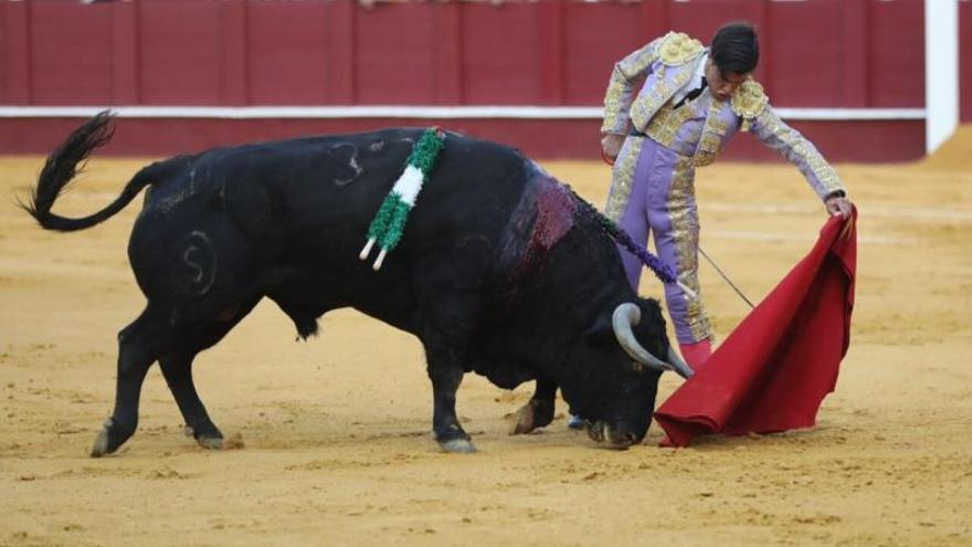 Fuentes Bocanegra, en un momento de la tarde. | MUNDOTORO