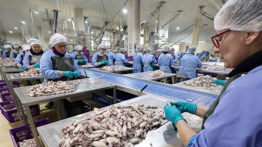 La industria alimentaria gallega se concentra: 329 empresas menos y 2.000 trabajadores más en cinco años