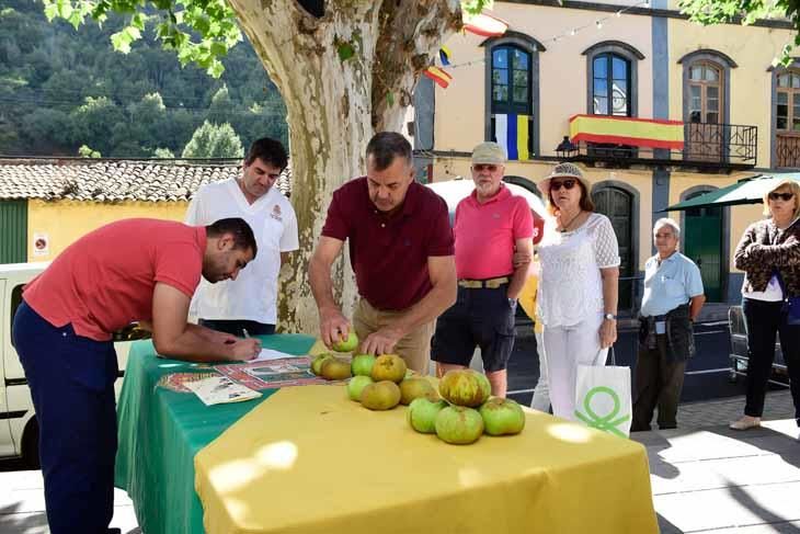 Fiesta de la manzana de Valleseco