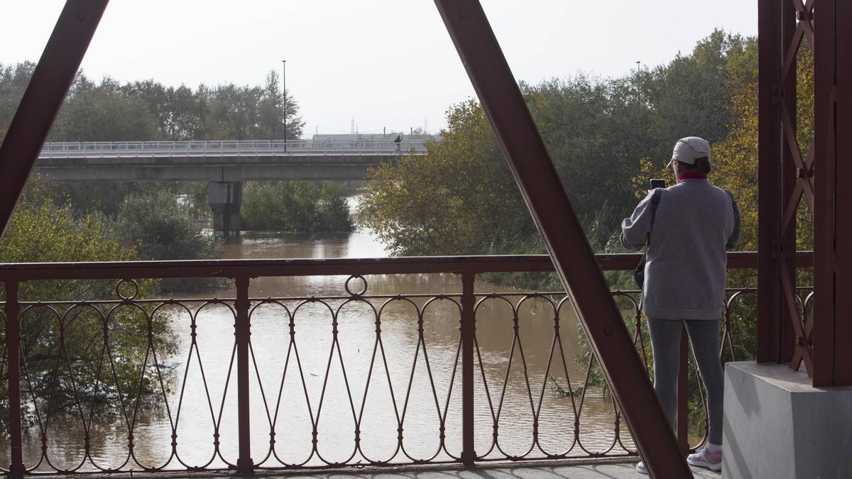 Un vecino observa el Xúquer a su paso por Alzira los días posteriores a la dana.