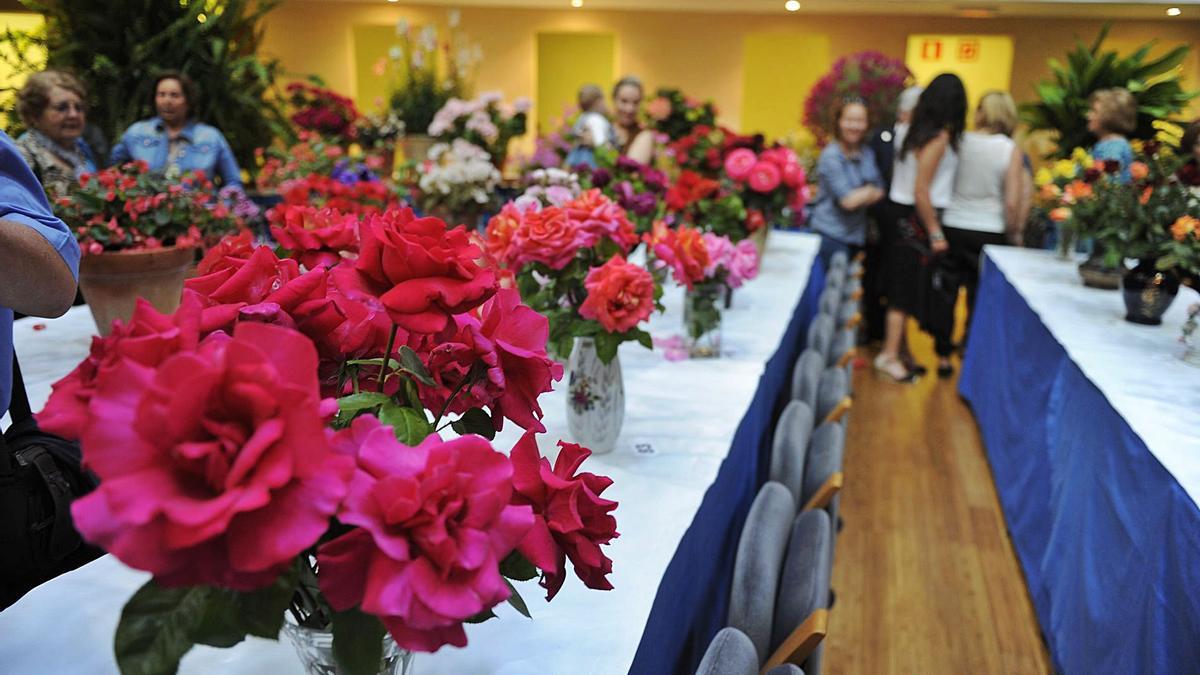 La exposición de flores y plantas es una de las citas más tradicionales que se mantiene, el primer fin de semana de mayo. | GABI VÁZQUEZ