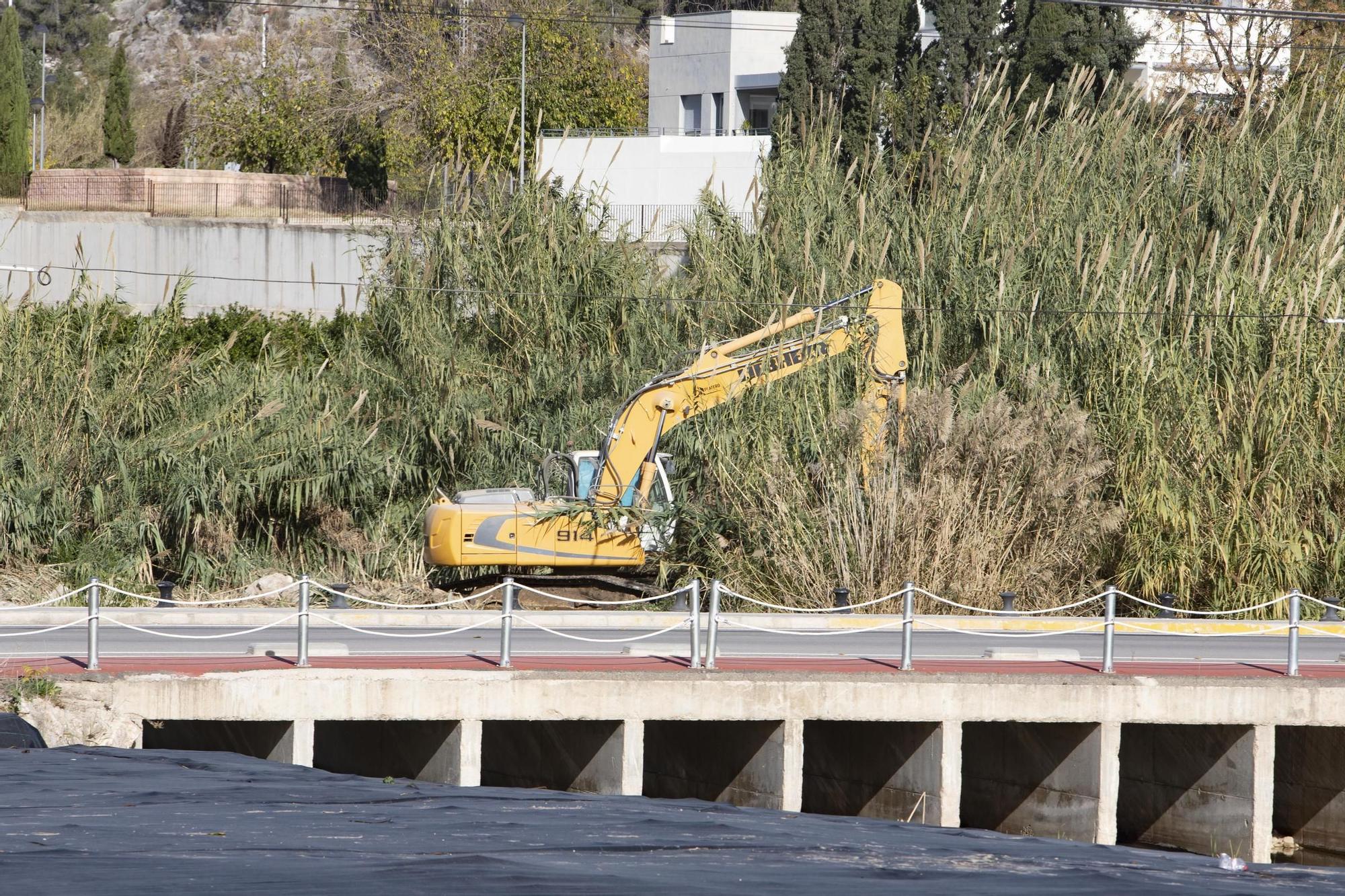 Recuperación del bosque de ribera en el río Albaida