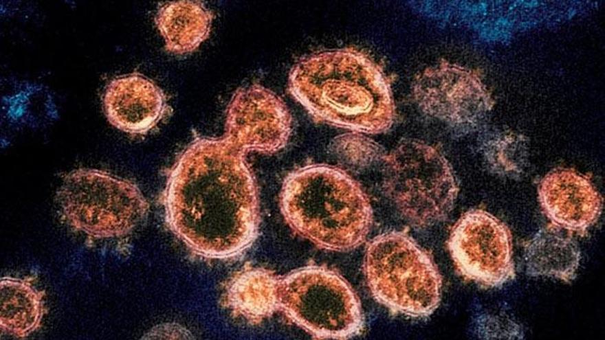 Este es el listado de rebrotes activos de coronavirus en España