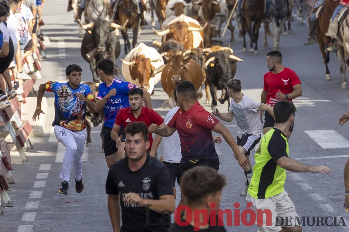 Quinto encierro de las Fiestas de Moratalla