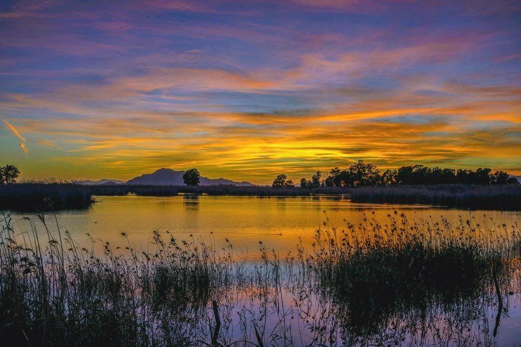 Parque Natural de El Hondo, Elche
