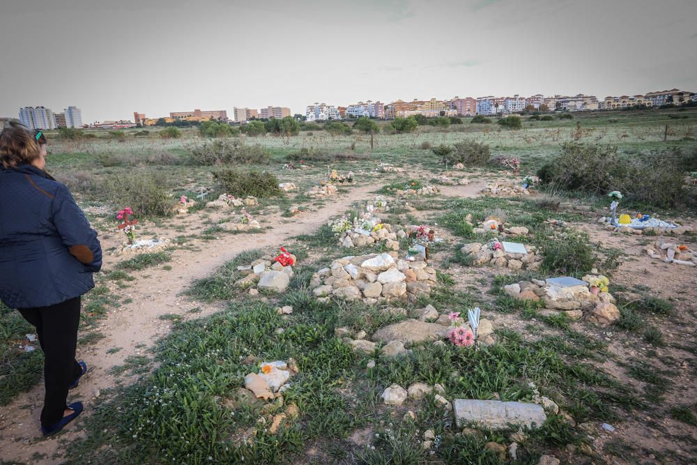 Junto al parque de Lo Albentosa de Torrevieja se extienden fosas y lápidas en una práctica no regulada