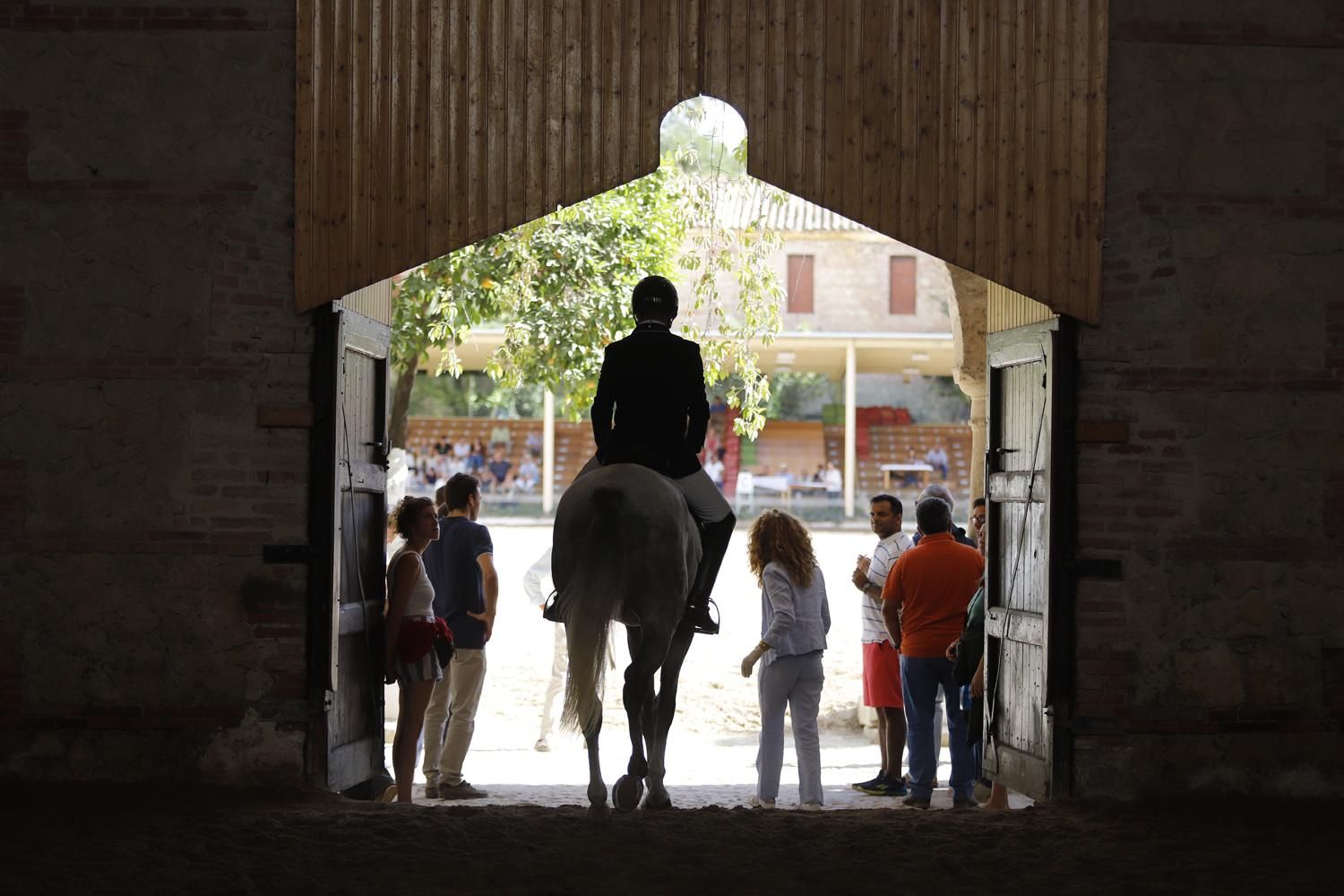 Campeonato de Europa del Caballo Lusitano