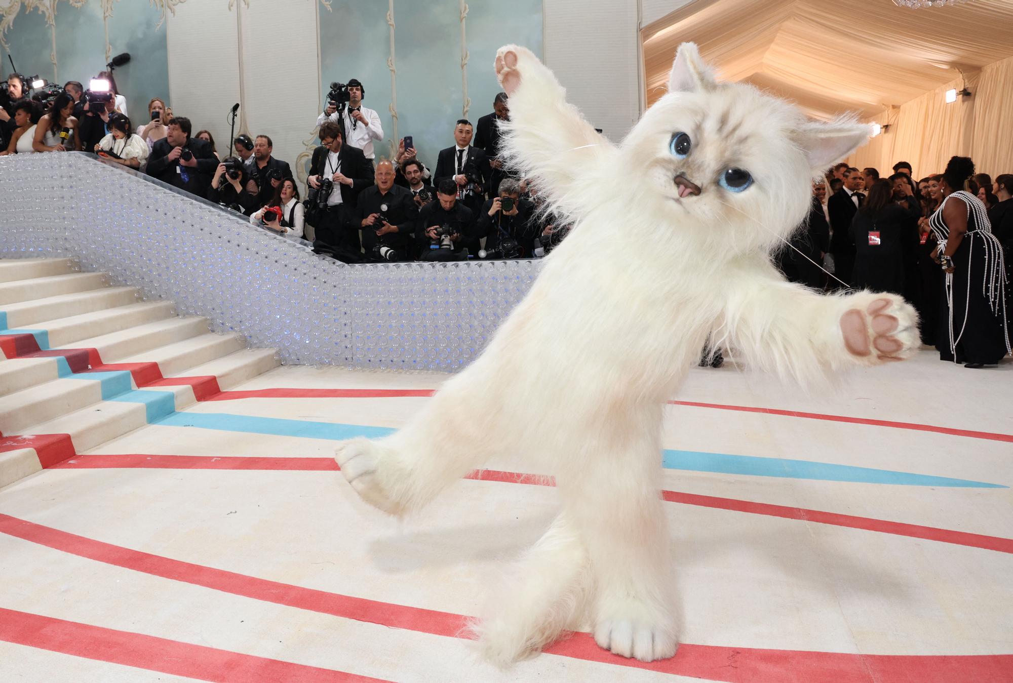 La catifa vermella de la Met Gala 2023, en imatges