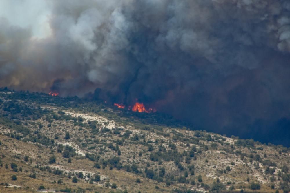 Cinco dotaciones de bomberos, tres unidades de bomberos forestales, siete medios aéreos y unos 40 efectivos terrestres tratan de contener el fuego