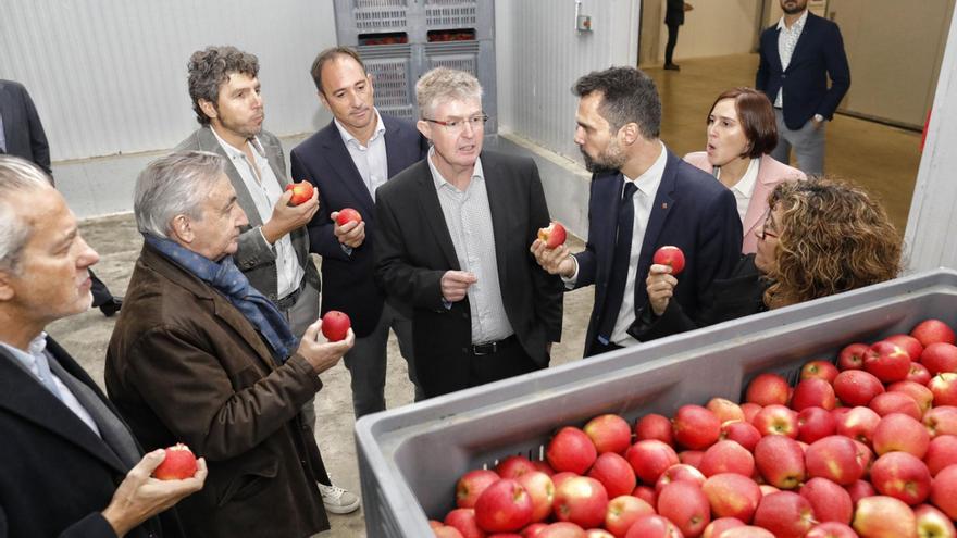 Fructícola Empordà construirà una nau de 10.000 metres quadrats a Sant Pere Pescador