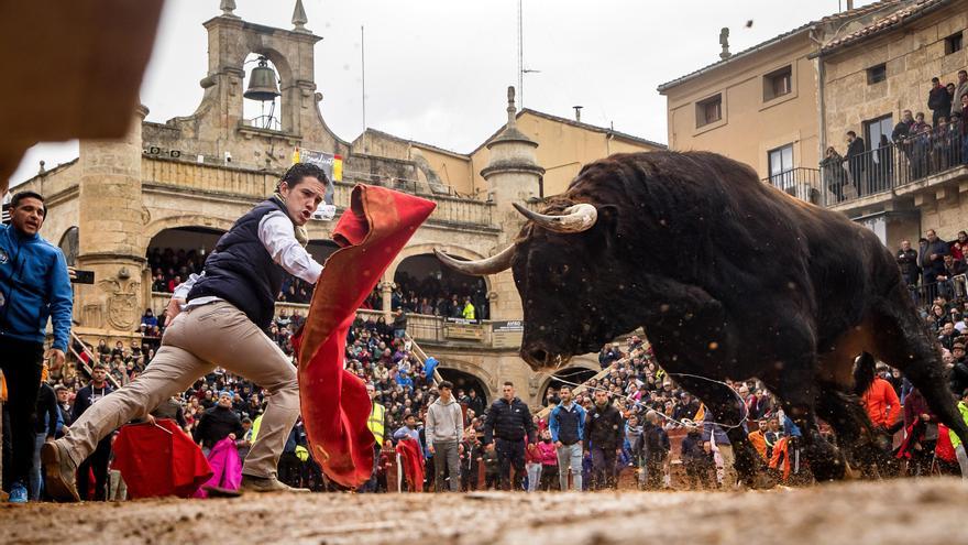 GALERÍA: El martes de Carnaval del Toro en Ciudad Rodrigo se salda con siete intervenciones sanitarias