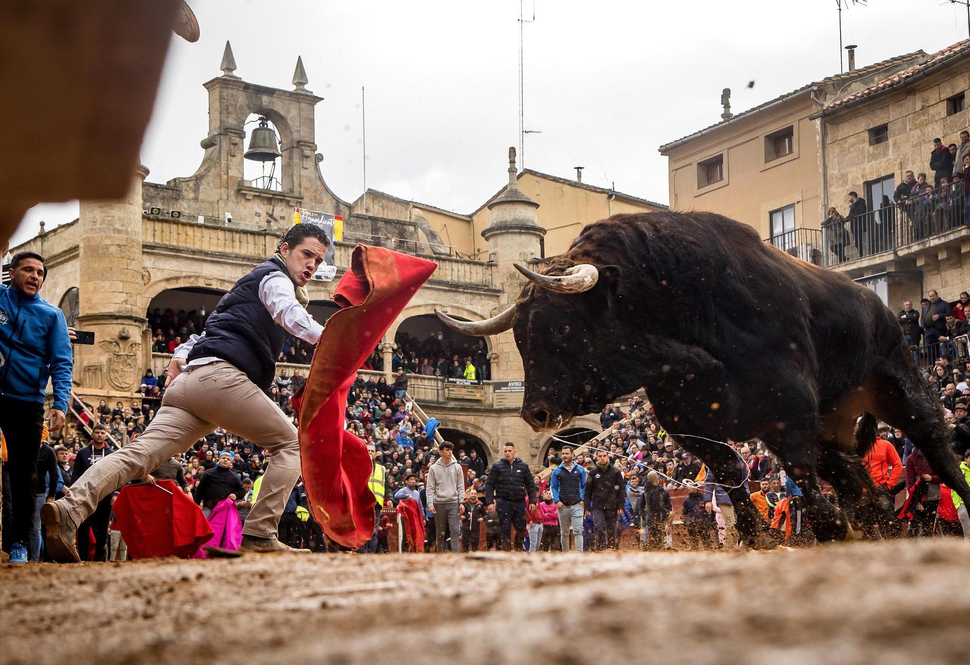 GALERÍA: El martes de Carnaval del Toro en Ciudad Rodrigo se salda con siete intervenciones sanitarias