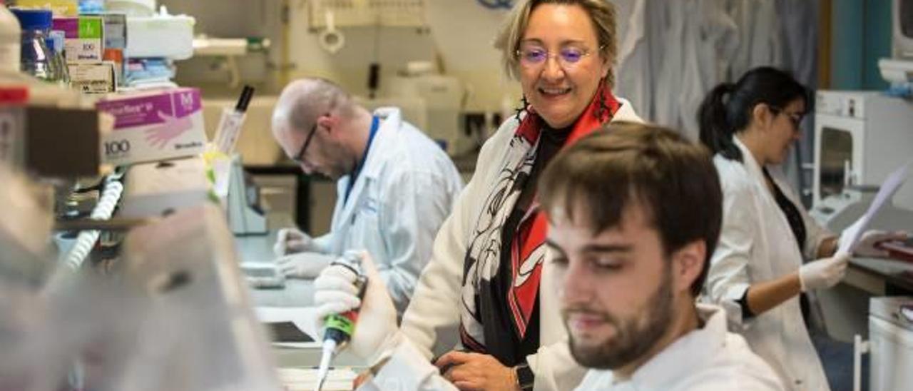 Ángela Nieto, en su laboratorio del Instituto de Neurociencias.