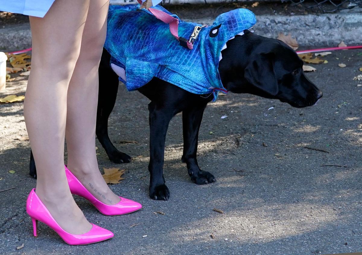 Desfile de disfraces de Halloween para perros en Nueva York