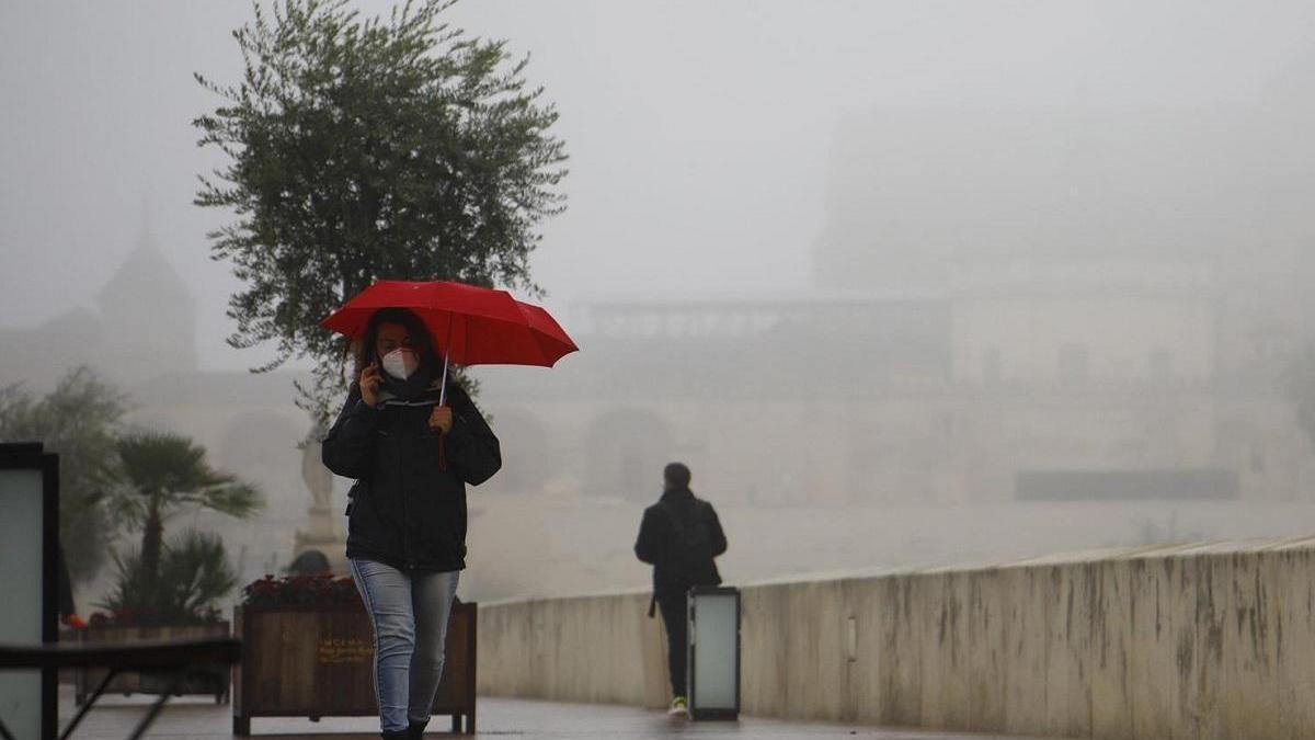 Una mujer se protege de la lluvia con un paraguas en el Puente Romano de Córdoba.