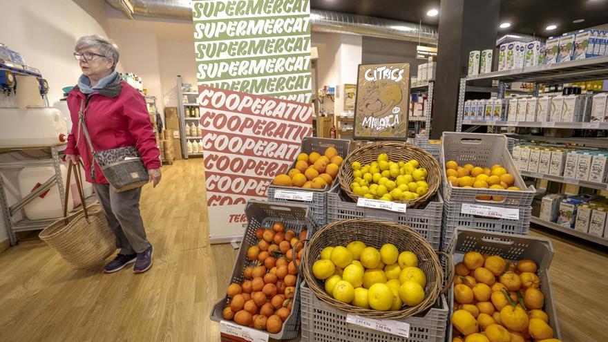 Fundadores del supermercado Terranostra en Palma: «Necesitamos comer sano y saber qué es, de dónde viene y quién lo ha elaborado»