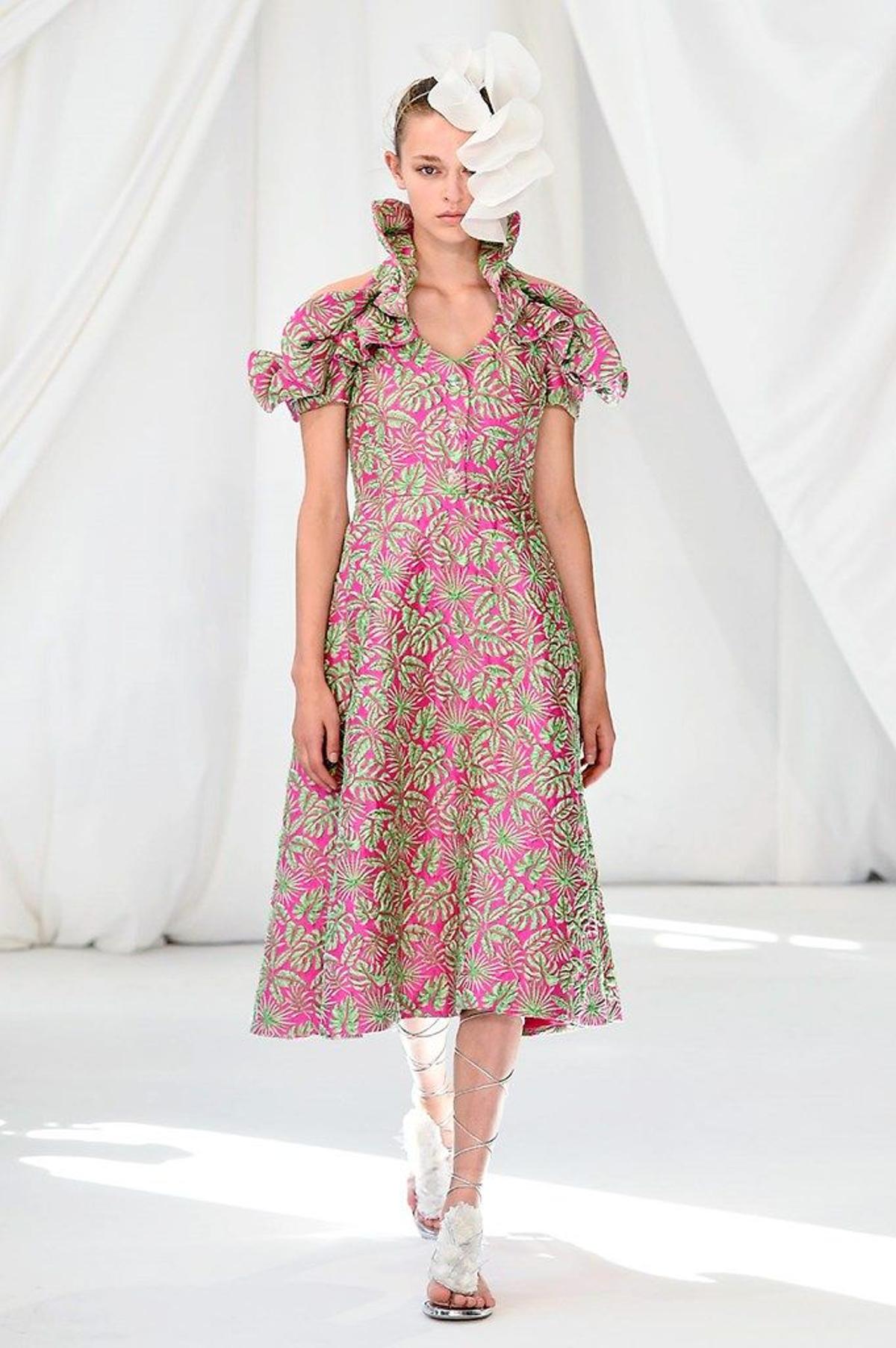 Delpozo