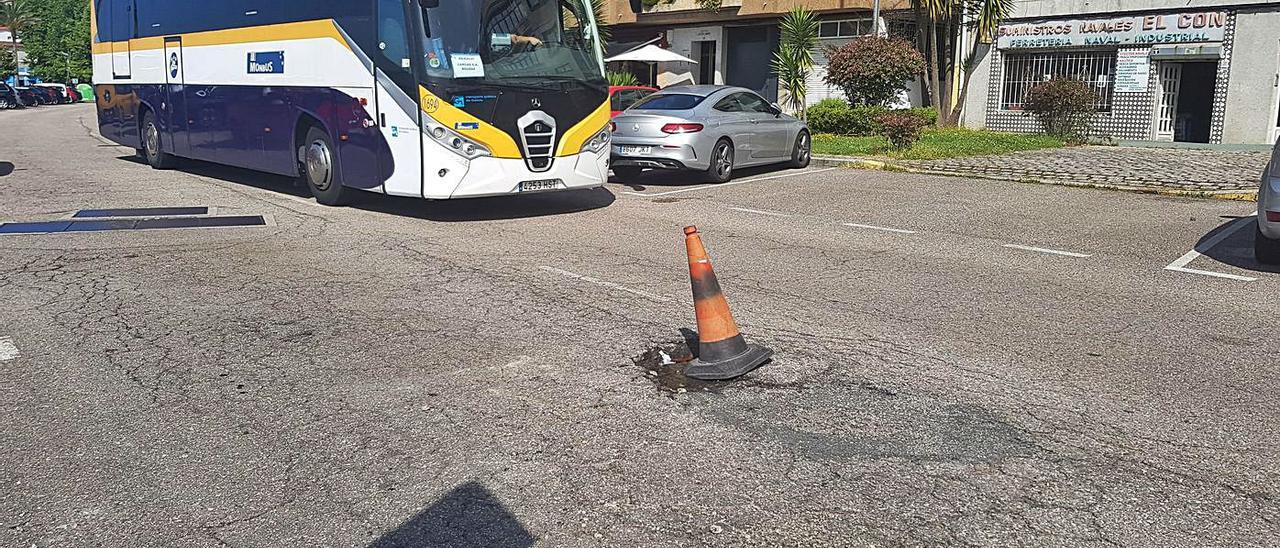 Los conos que crecen en Moaña. | FDV