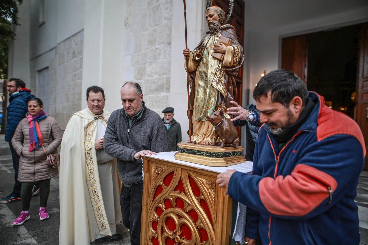 Las mejores imágenes de la bendición de animales de San Antón en Amoradí 2026 están aquí