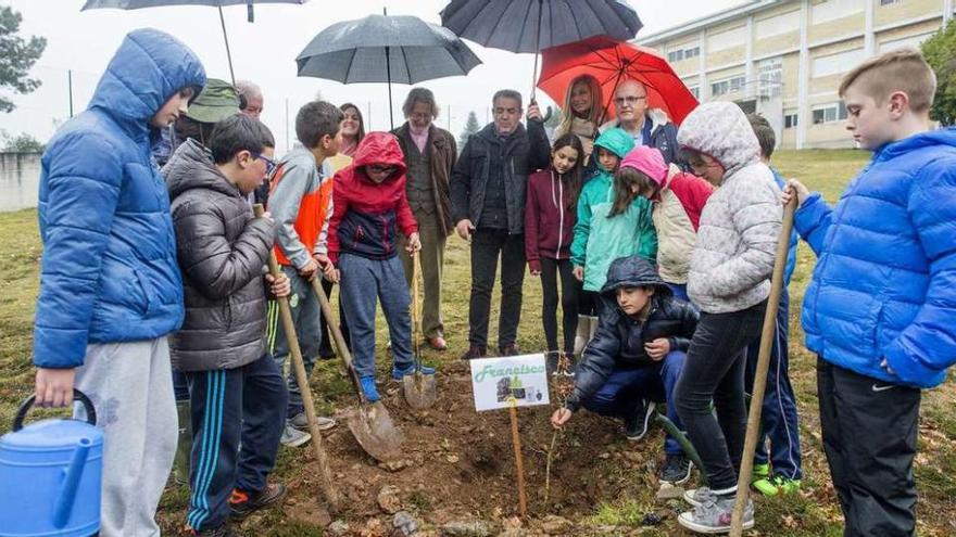 Manuel Baltar, con alumnos del CEIP de A Merca. // Jesús Regal