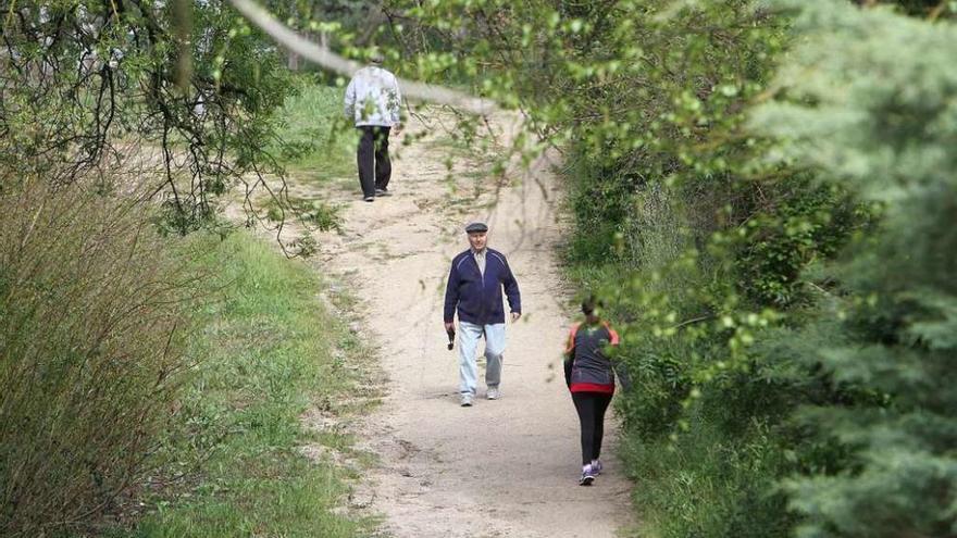 Un sendero peatonal habilitado en las orillas del río Loña en Ourense. / Iñaki Osorio