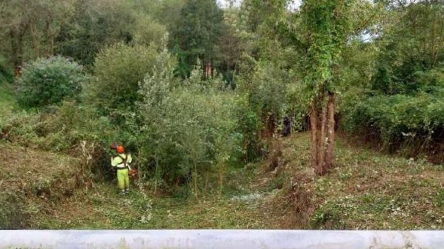 La Confederación Hidrográfica ejecuta trabajos para mantener la capacidad de desagüe del arroyo Barrea