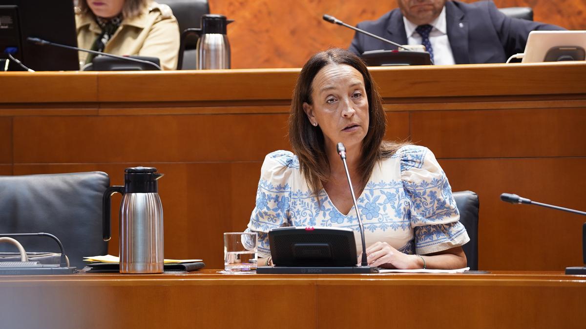 La nueva consejera de Educación, Ciencia y Universidades del Gobierno PP-Vox, Carmen Susín, en las Cortes de Aragón.