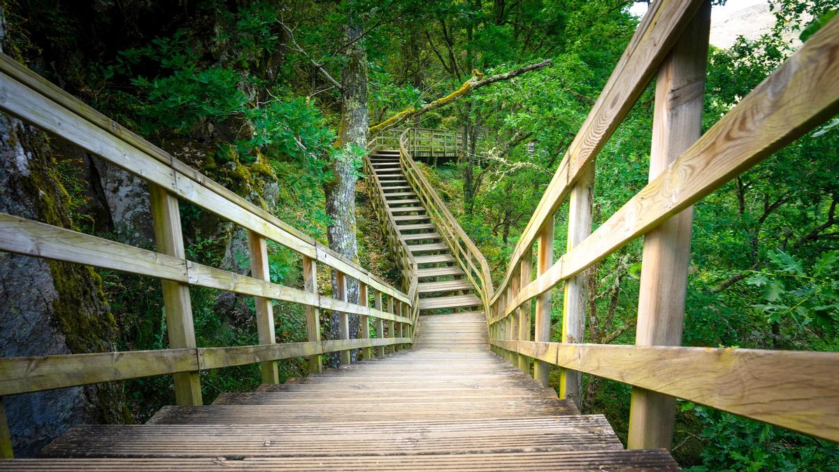 El mejor sendero para recorrer en invierno se encuentra en Galicia.