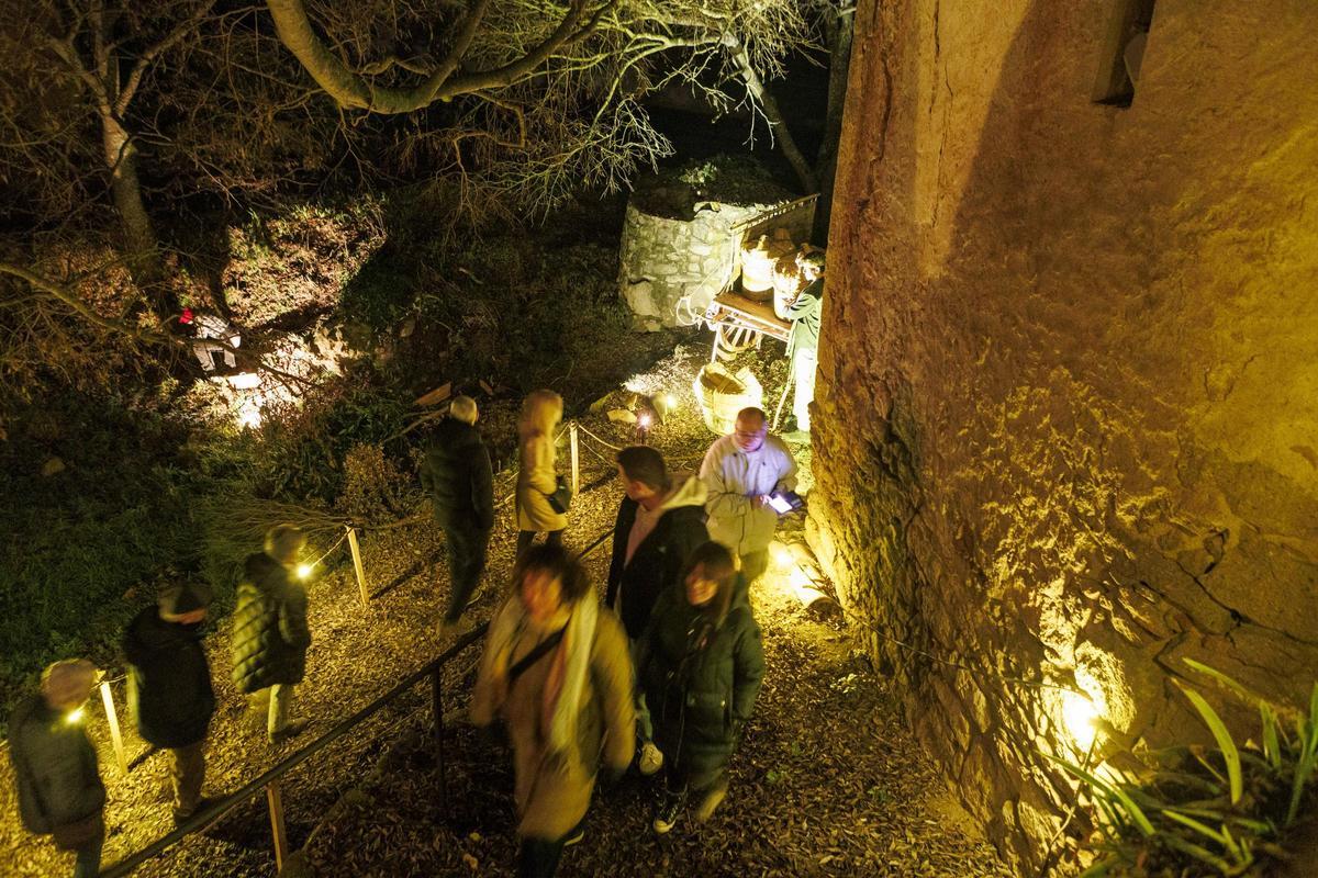 Nit Viva de Fonollosa