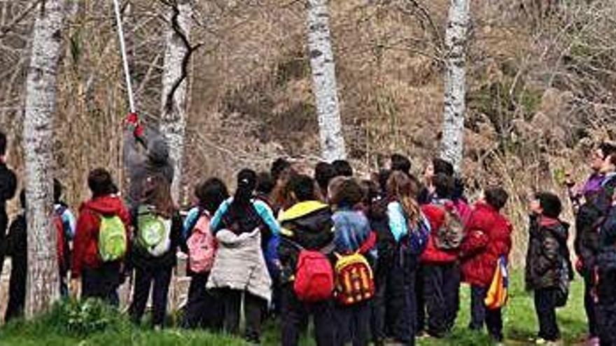 Penjant una caixa niu al parc del Pont Nou amb una escola (2017)