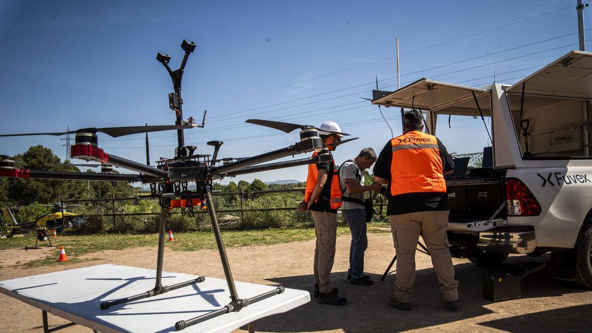 Endesa invierte €38 millones en la protección de las líneas eléctricas en ambientes forestales