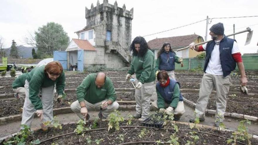 Un grupo de alumnos del taller de agricultura ecológica cuida sus cultivos en Pousadouro.  // Jesús de Arcos