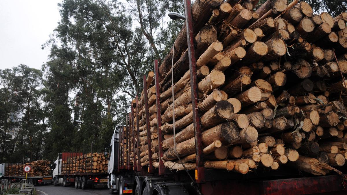 Carga de madera en Ence