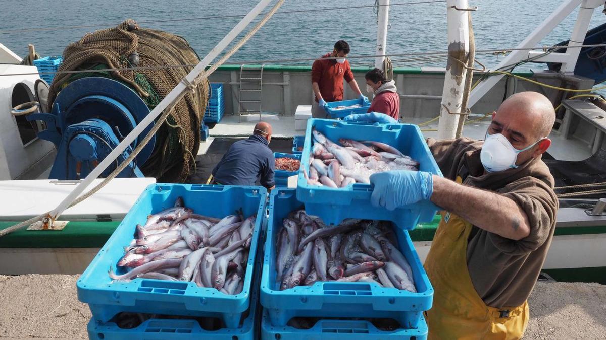 Pescadors descarregant el peix al port de Palamós, en una imatge d’arxiu. | PERE DURAN/NORD MEDIA