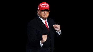 trump-village-people