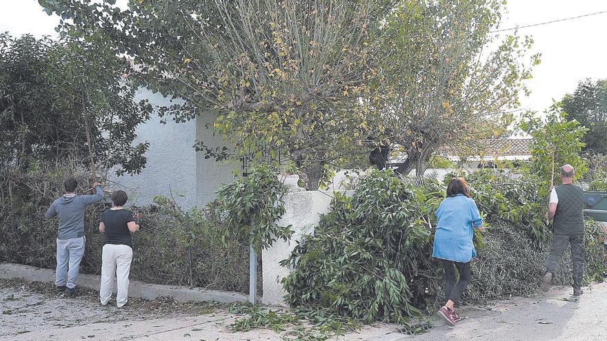 ‘Antiokupas’ en la Marjaleria de Castelló