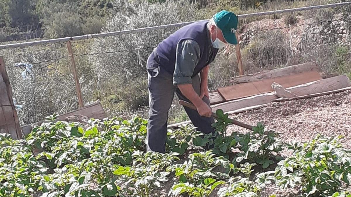 Inquietud entre los agricultores por no tener escrituras sobre sus fincas